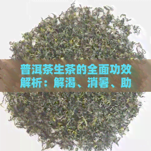 普洱茶生茶的全面功效解析：解渴、消暑、助消化等多重功效详解