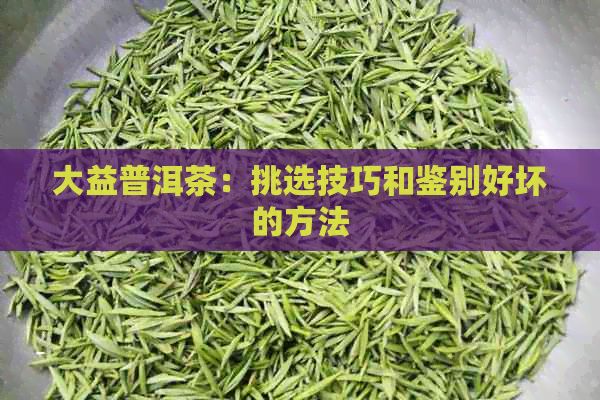 大益普洱茶：挑选技巧和鉴别好坏的方法