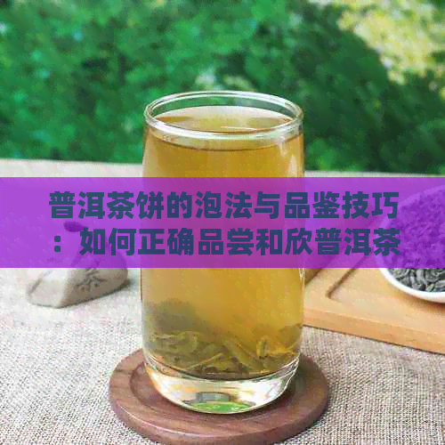 普洱茶饼的泡法与品鉴技巧：如何正确品尝和欣普洱茶饼？