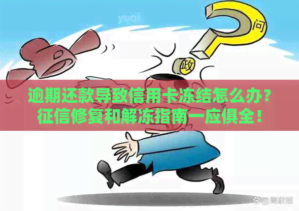 逾期还款导致信用卡冻结怎么办？修复和解冻指南一应俱全！