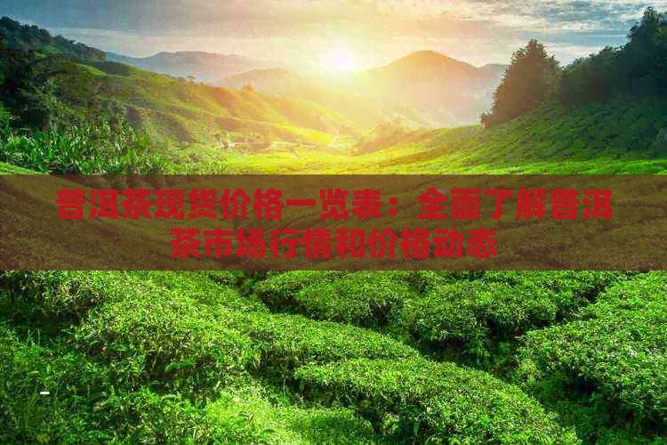 普洱茶现货价格一览表：全面了解普洱茶市场行情和价格动态