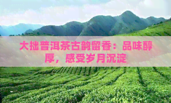 大拙普洱茶古韵留香：品味醇厚，感受岁月沉淀