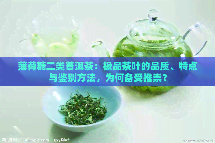 薄荷糖二类普洱茶：极品茶叶的品质、特点与鉴别方法，为何备受推崇？