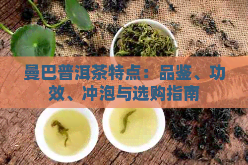 曼巴普洱茶特点：品鉴、功效、冲泡与选购指南