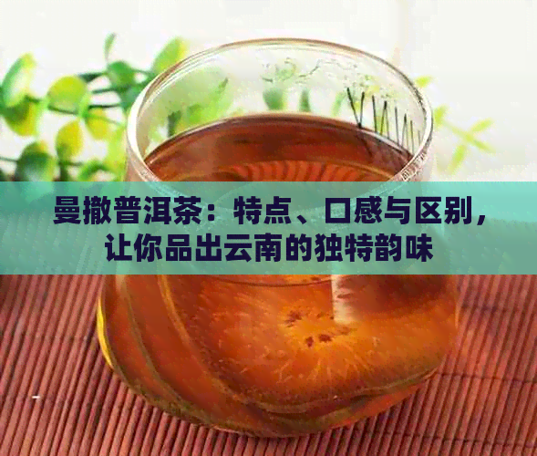 曼撤普洱茶：特点、口感与区别，让你品出云南的独特韵味