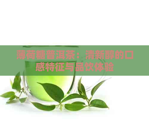 薄荷糖普洱茶：清新醇的口感特征与品饮体验