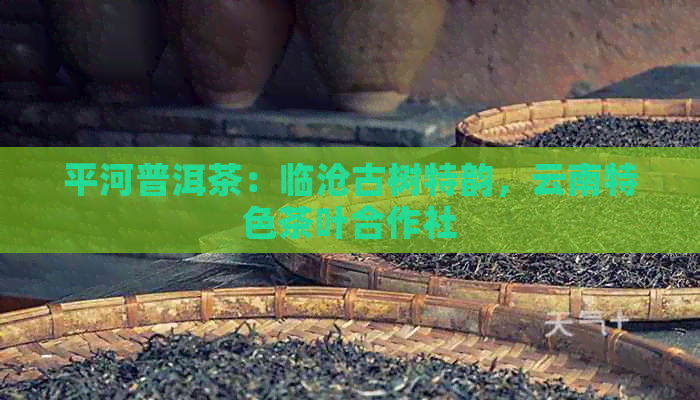 平河普洱茶：临沧古树特韵，云南特色茶叶合作社