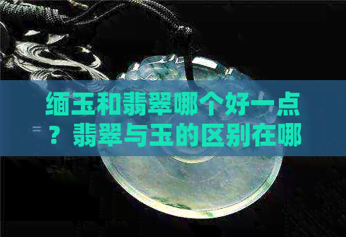 缅玉和翡翠哪个好一点？翡翠与玉的区别在哪里，哪种更贵？