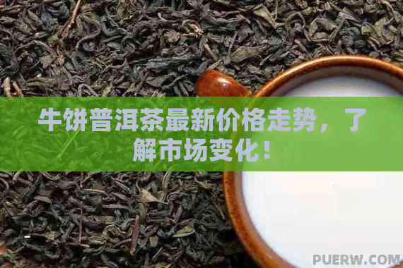 牛饼普洱茶最新价格走势，了解市场变化！