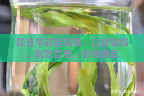 陈升牛筋普洱茶：口感独特，功效显著，价格亲民