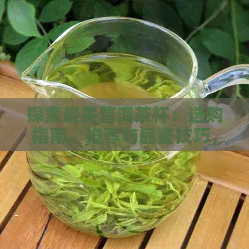 探索最美普洱茶杯：选购指南、推荐与品鉴技巧，让你尽享茶道之美