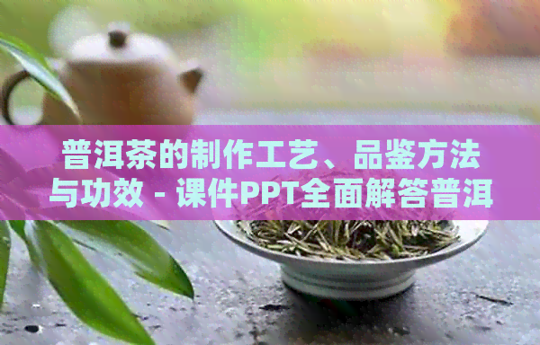 普洱茶的制作工艺、品鉴方法与功效 - 课件PPT全面解答普洱茶相关问题