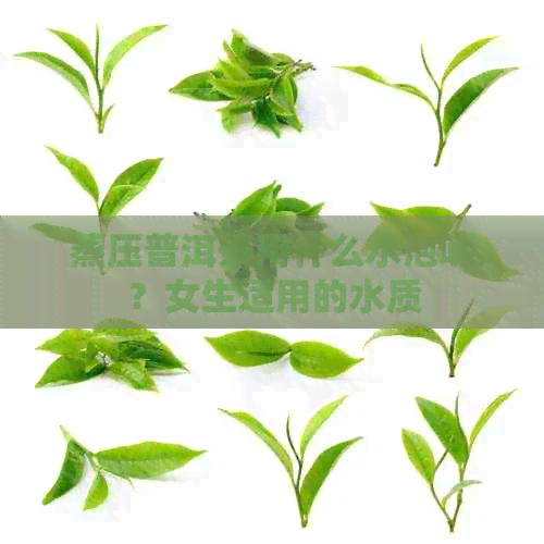 蒸压普洱茶用什么水泡呢？女生适用的水质