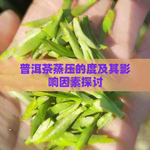 普洱茶蒸压的度及其影响因素探讨