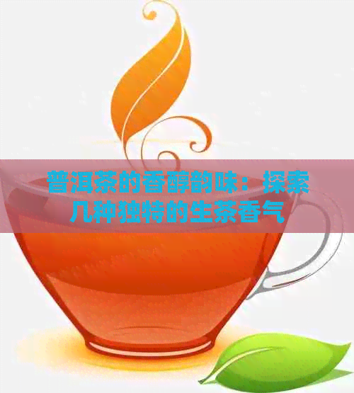 普洱茶的香醇韵味：探索几种独特的生茶香气