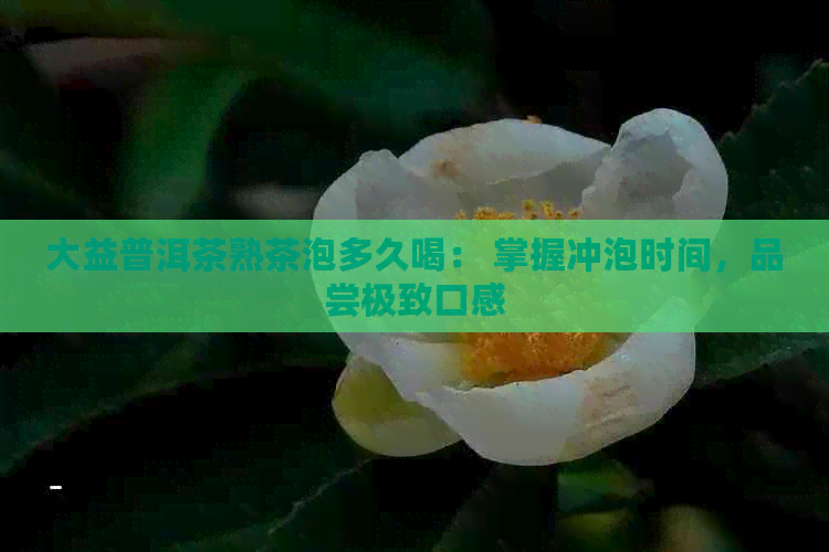 大益普洱茶熟茶泡多久喝： 掌握冲泡时间，品尝极致口感