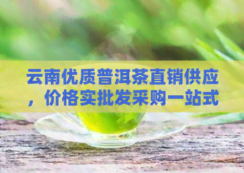 云南优质普洱茶直销供应，价格实批发采购一站式服务