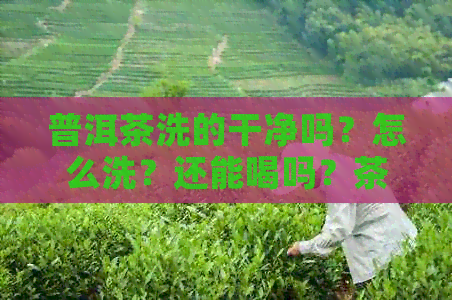 普洱茶洗的干净吗？怎么洗？还能喝吗？茶几秒搞定！