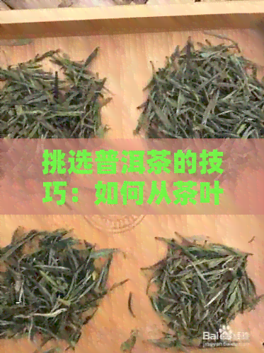 挑选普洱茶的技巧：如何从茶叶店选购优质的普洱茶？