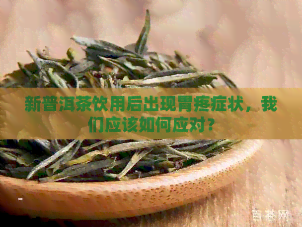 新普洱茶饮用后出现胃疼症状，我们应该如何应对？