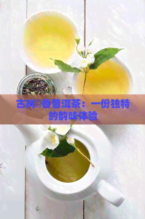 古树槚香普洱茶：一份独特的韵味体验