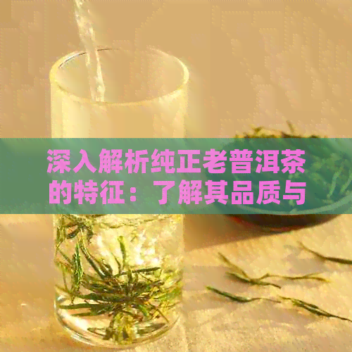 深入解析纯正老普洱茶的特征：了解其品质与口感的全貌，让你成为专业鉴师