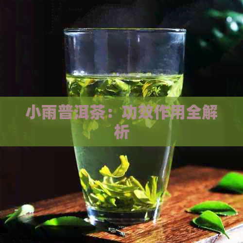 小雨普洱茶：功效作用全解析