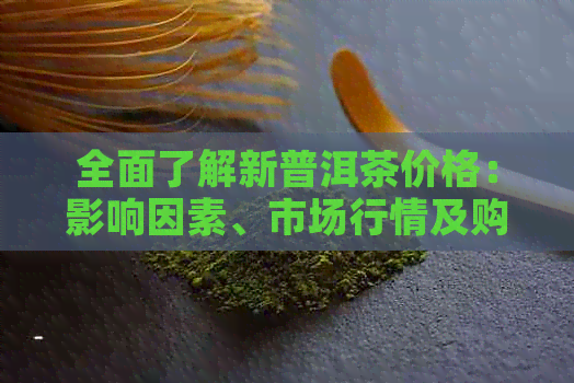 全面了解新普洱茶价格：影响因素、市场行情及购买建议