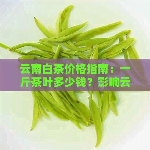 云南白茶价格指南：一斤茶叶多少钱？影响云南白茶价格的因素有哪些？