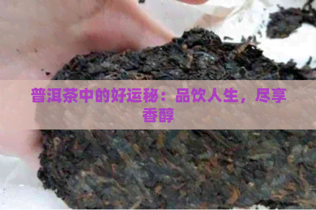 普洱茶中的好运秘：品饮人生，尽享香醇