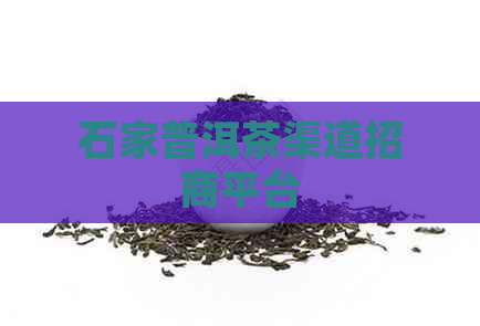 石家普洱茶渠道招商平台