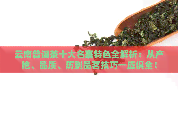 云南普洱茶十大名寨特色全解析：从产地、品质、历到品茗技巧一应俱全！