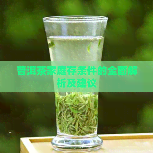 普洱茶家庭存条件的全面解析及建议