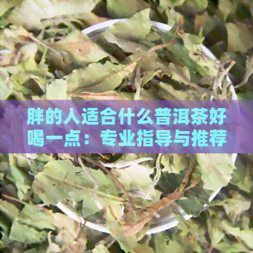 胖的人适合什么普洱茶好喝一点：专业指导与推荐