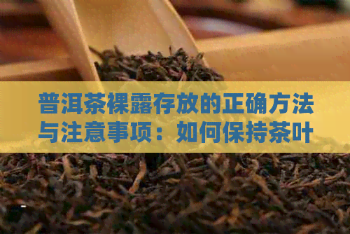 普洱茶     存放的正确方法与注意事项：如何保持茶叶品质与风味？