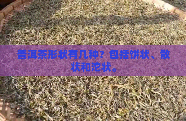 普洱茶形状有几种？包括饼状、散状和沱状。