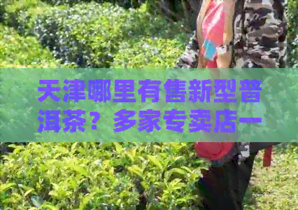 天津哪里有售新型普洱茶？多家专卖店一网打尽！