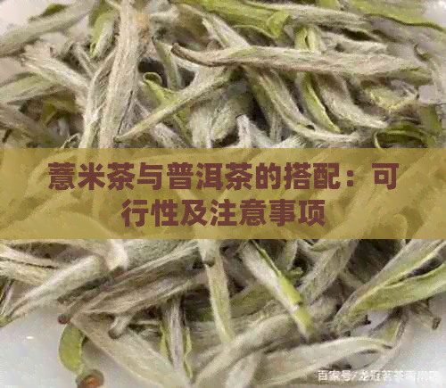 薏米茶与普洱茶的搭配：可行性及注意事项