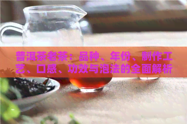 普洱茶老茶：品种、年份、制作工艺、口感、功效与泡法的全面解析