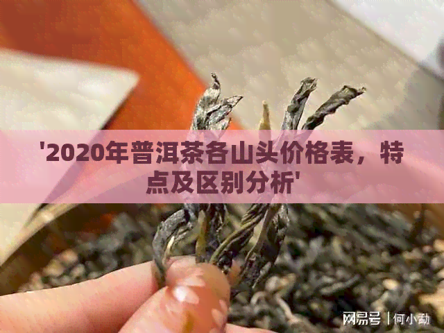 '2020年普洱茶各山头价格表，特点及区别分析'