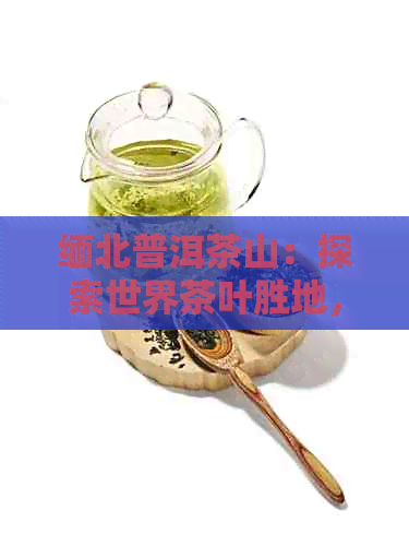 缅北普洱茶山：探索世界茶叶胜地，品味独特风味与文化魅力