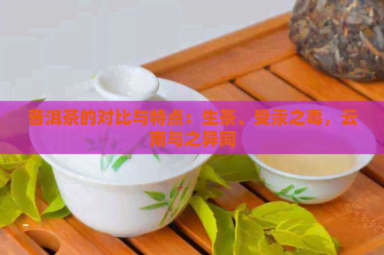 普洱茶的对比与特点：生茶、受汞之，云南与之异同