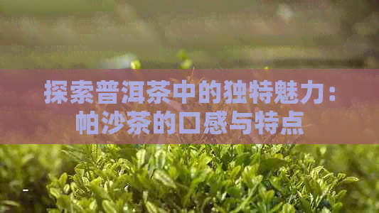 探索普洱茶中的独特魅力：帕沙茶的口感与特点