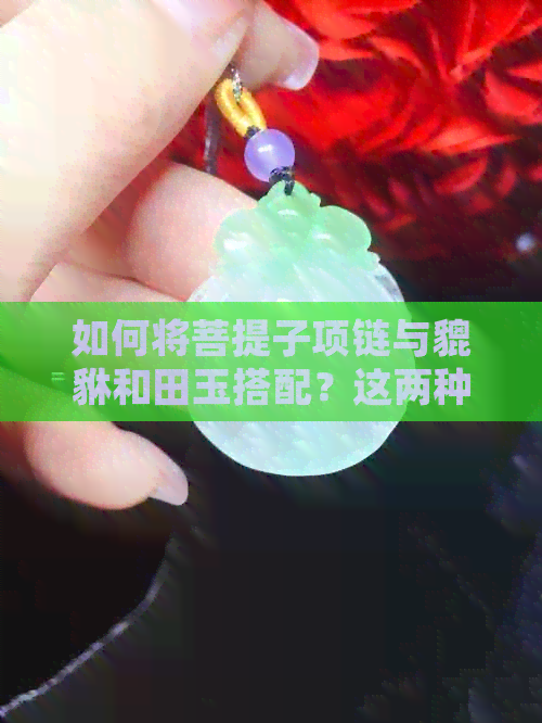 如何将菩提子项链与貔貅和田玉搭配？这两种宝石的组合是否合适？