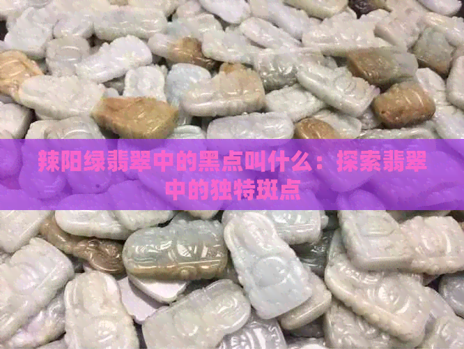 辣阳绿翡翠中的黑点叫什么：探索翡翠中的独特斑点