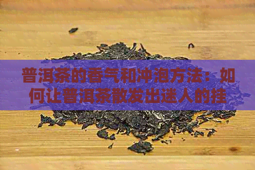 普洱茶的香气和冲泡方法：如何让普洱茶散发出迷人的挂杯香？