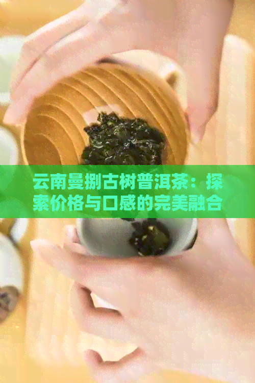 云南曼捌古树普洱茶：探索价格与口感的完美融合