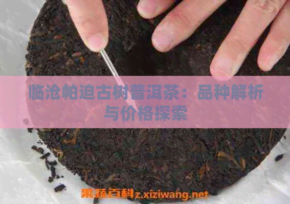 临沧帕迫古树普洱茶：品种解析与价格探索