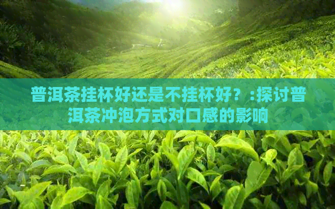 普洱茶挂杯好还是不挂杯好？:探讨普洱茶冲泡方式对口感的影响