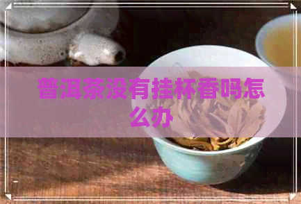 普洱茶没有挂杯香吗怎么办